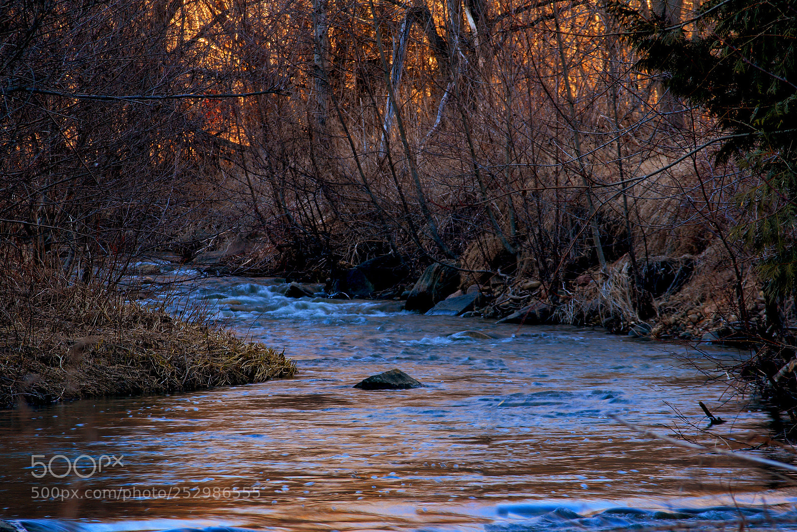 Canon EOS 600D (Rebel EOS T3i / EOS Kiss X5) sample photo. River and sunset trees photography