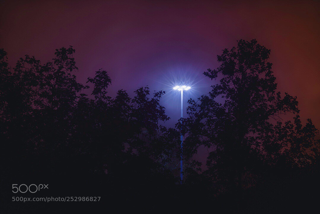 Nikon D7100 sample photo. Alieninv^ders photography