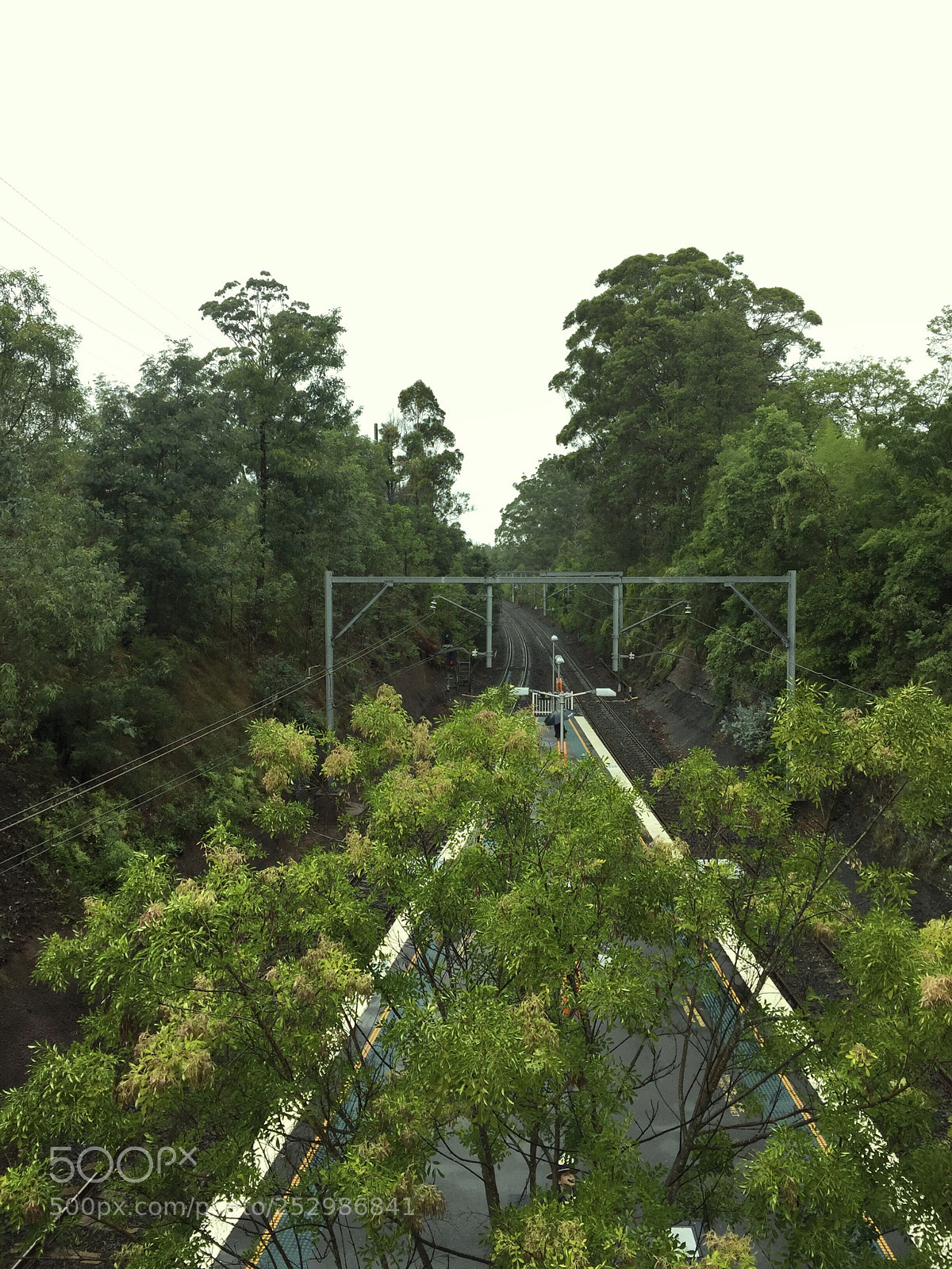 Apple iPhone 6 sample photo. Greenery around train station photography
