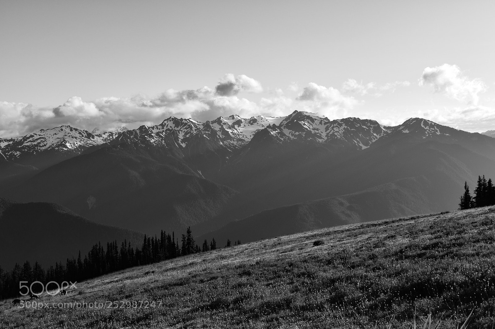 Nikon D3300 sample photo. Rugged snowy mountains photography