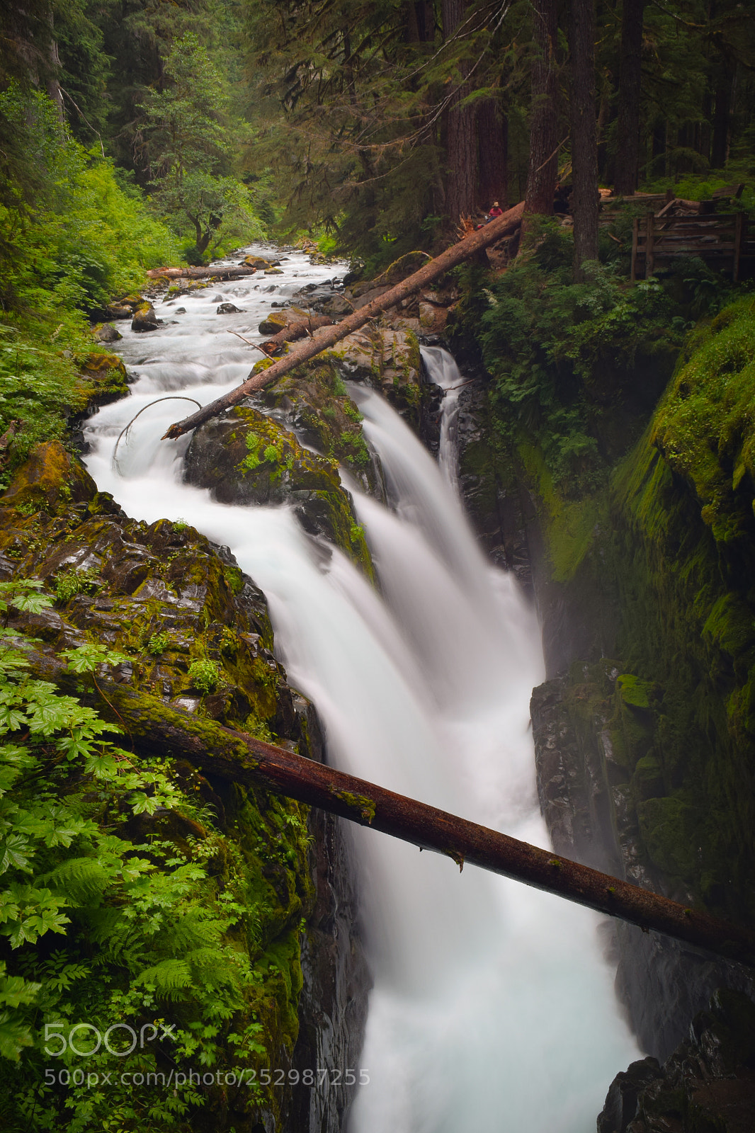 Nikon D3300 sample photo. Silky cascade photography