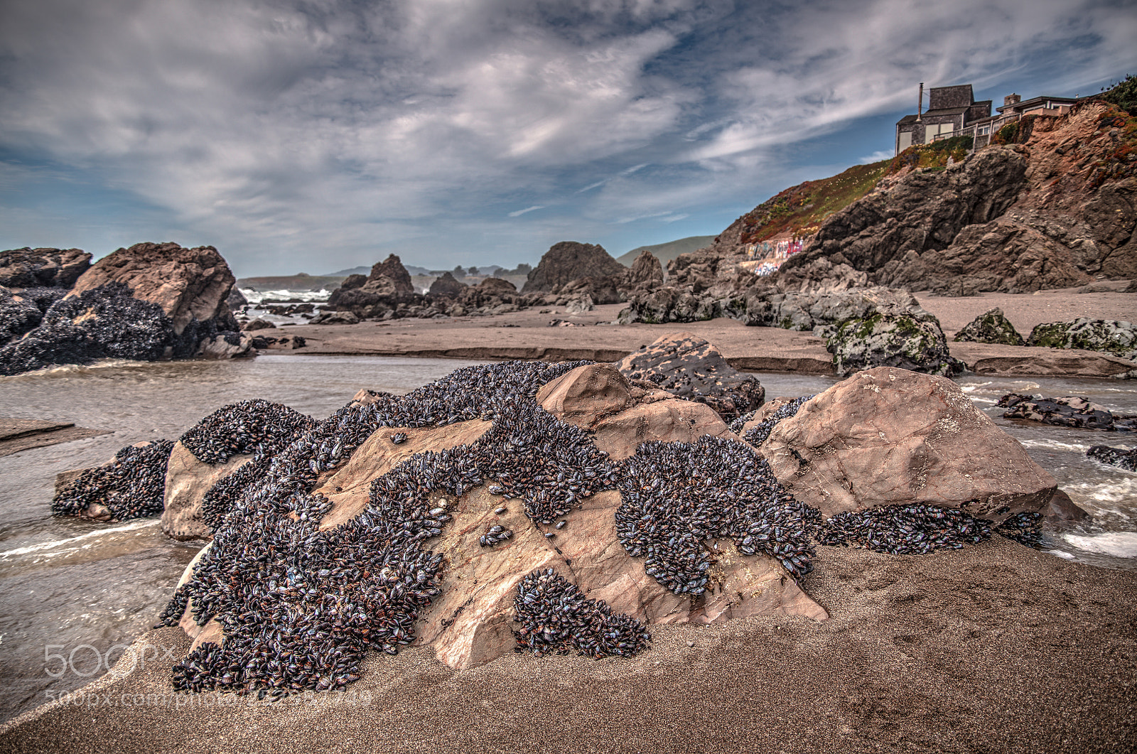 Nikon D850 sample photo. Little beach north of photography