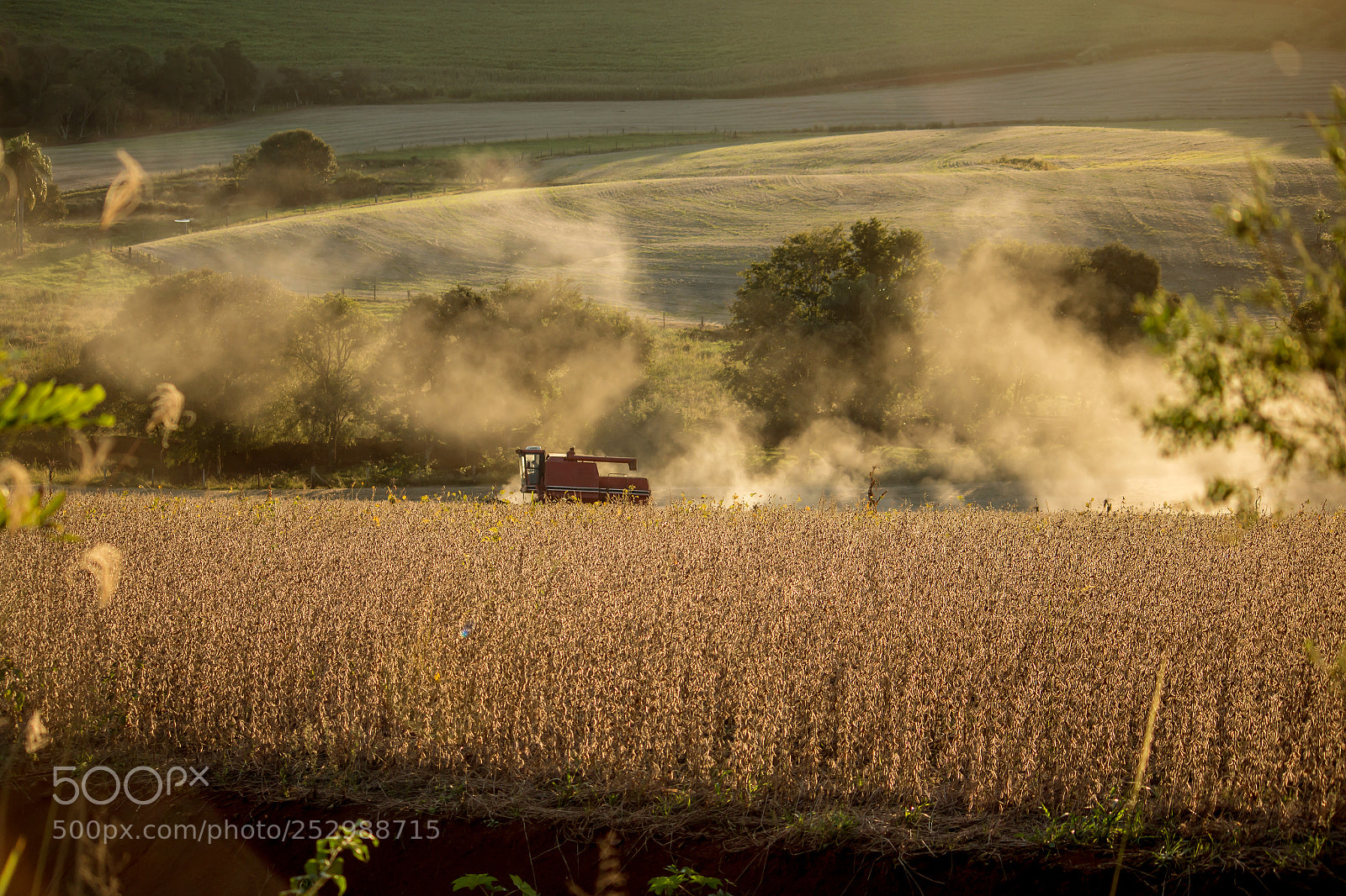 Canon EOS 70D sample photo. Soybean harvest photography