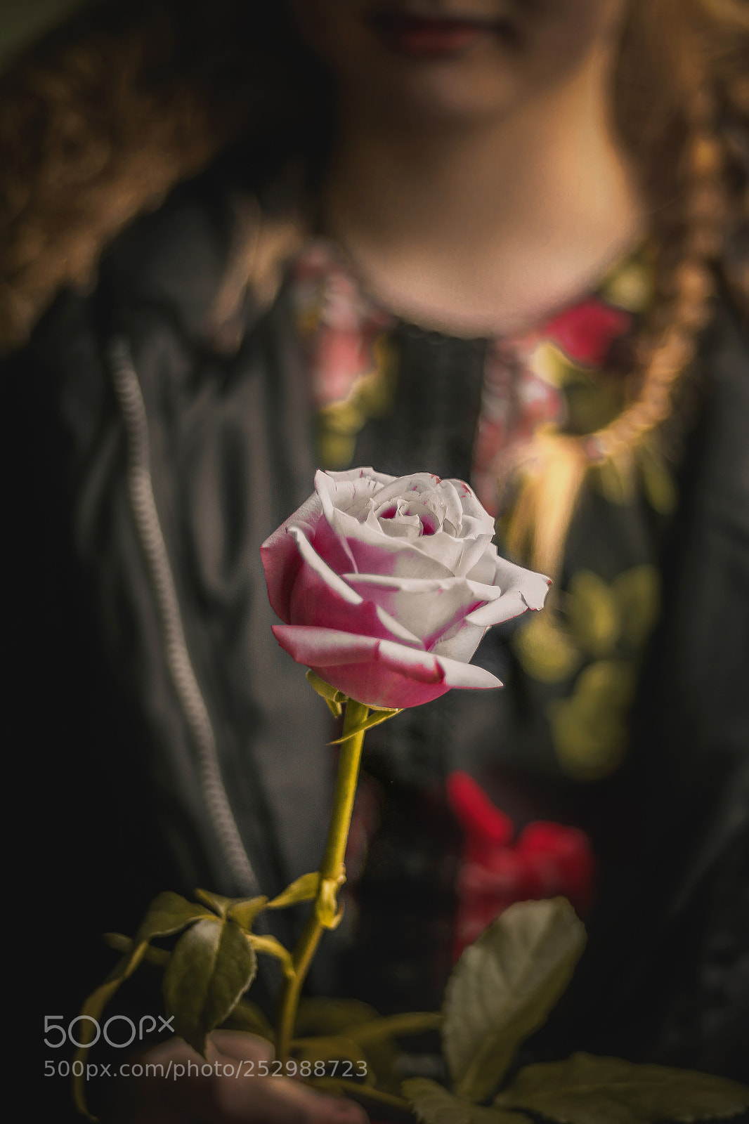 Canon EOS 70D sample photo. Winter flower photography