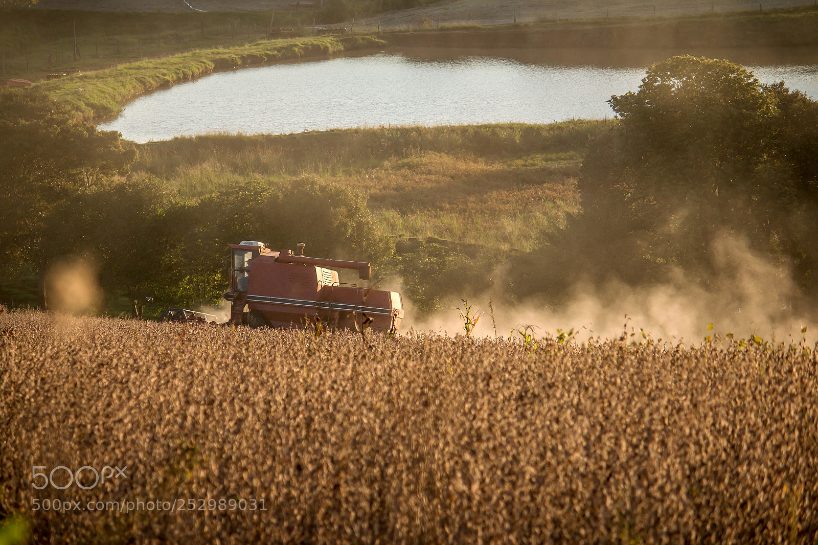 Canon EOS 70D sample photo. Soybean harvest photography