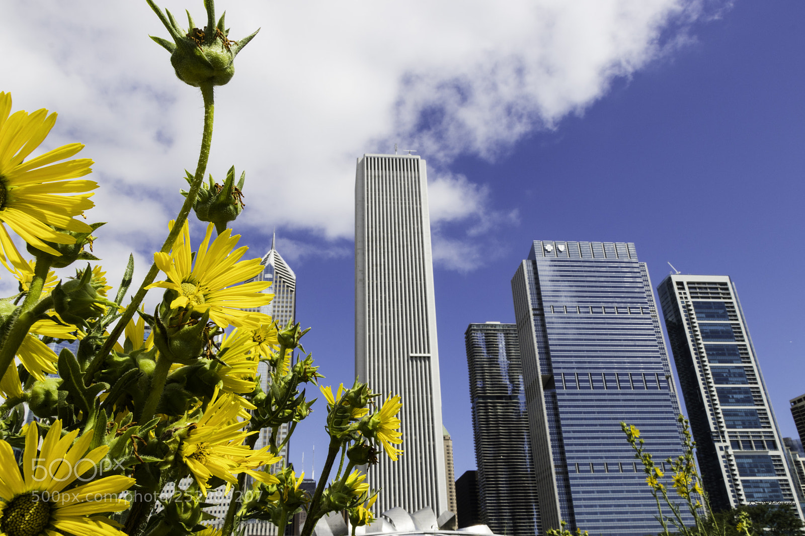 Canon EOS 80D sample photo. Chicago photography