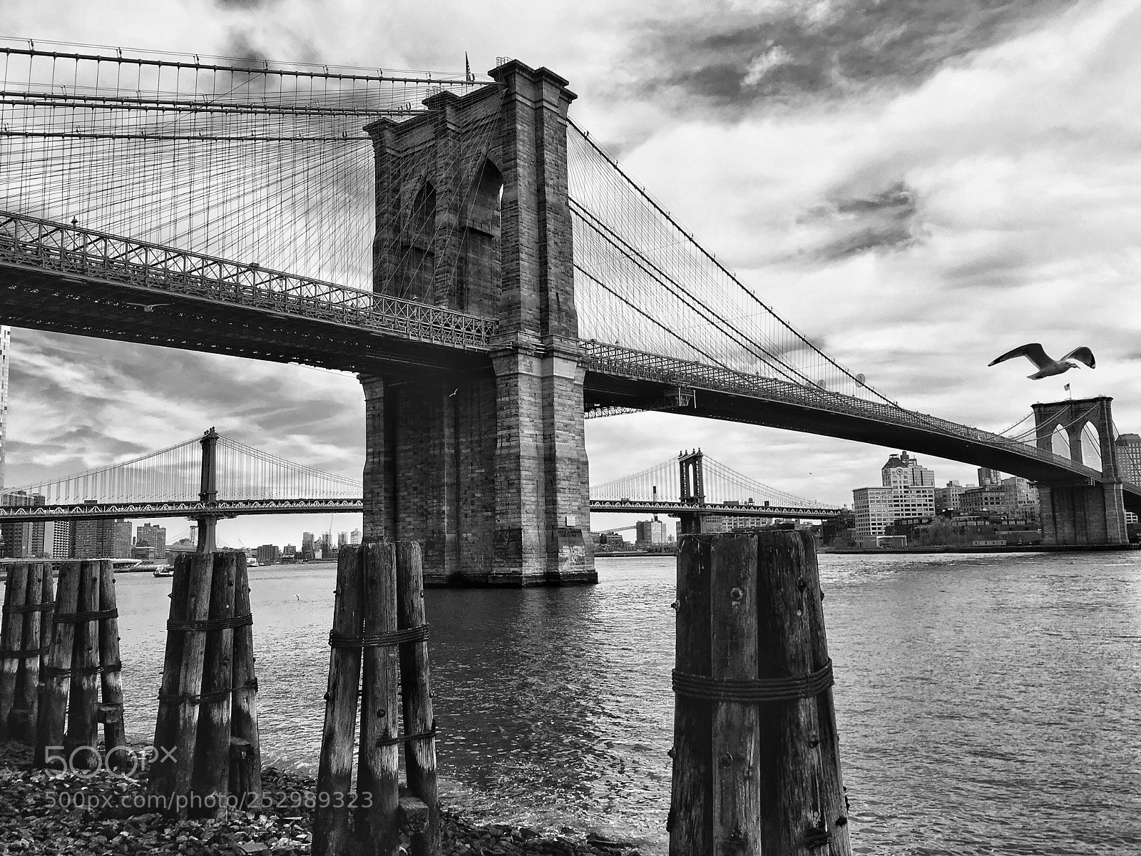 Apple iPhone SE sample photo. Bridges photography