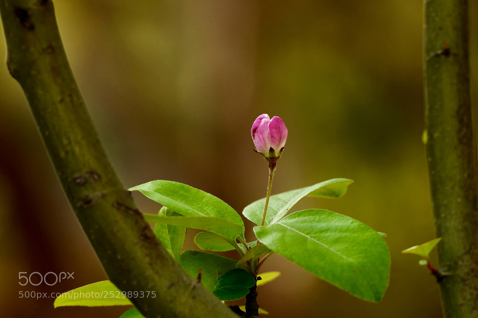 Leica SL (Typ 601) sample photo. Untitled photography