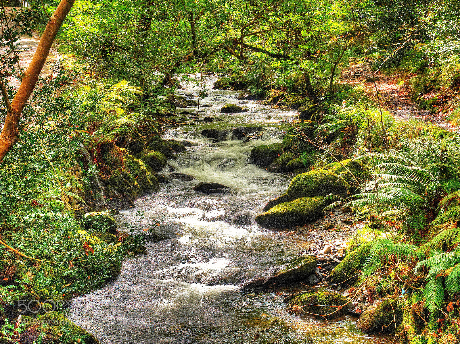 Olympus OM-D E-M1 sample photo. Goodbye dolgoch falls! photography