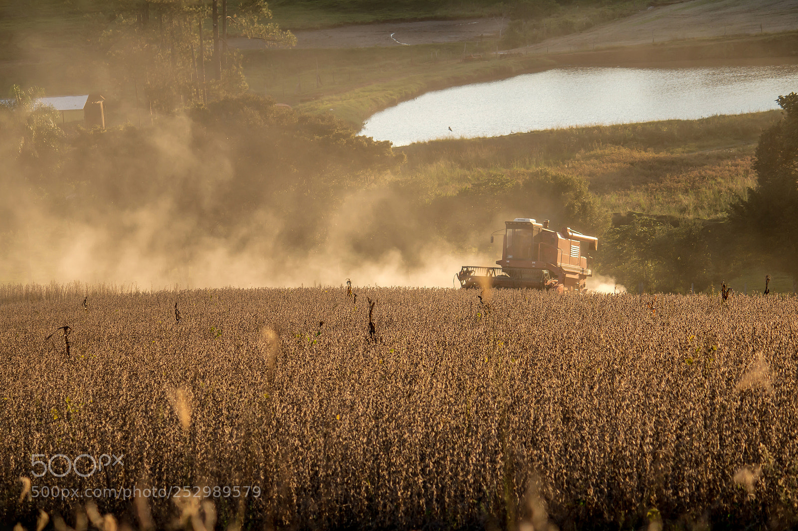 Canon EOS 70D sample photo. Soybean harvest photography