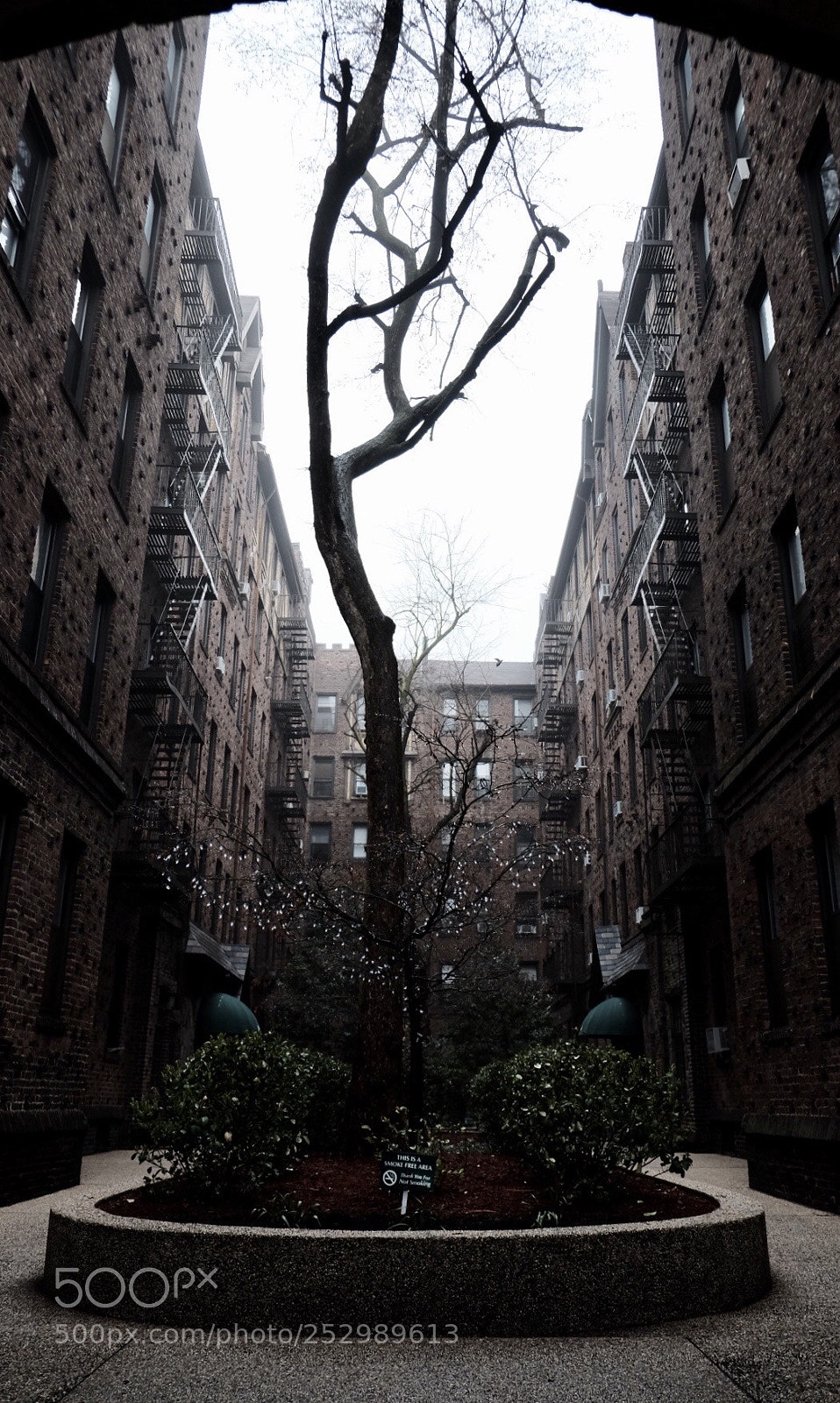 Fujifilm X-T1 sample photo. Cold in new york photography