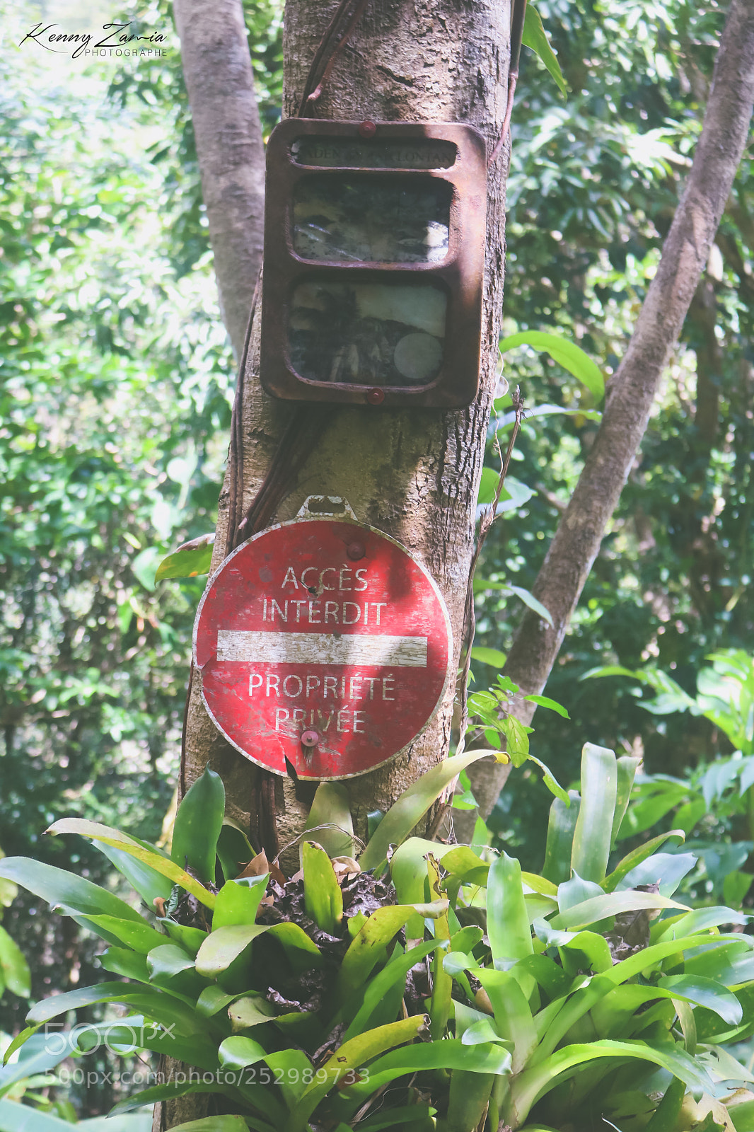 Canon EOS 750D (EOS Rebel T6i / EOS Kiss X8i) sample photo. Retro access photography