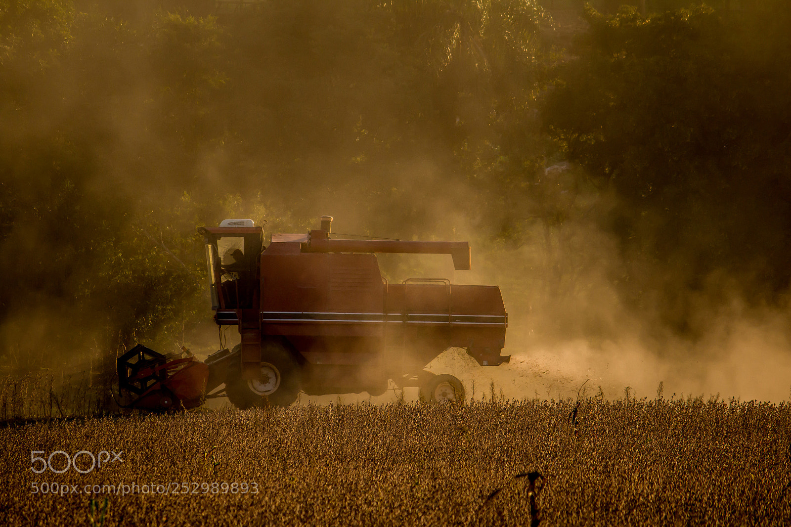 Canon EOS 70D sample photo. Soybean harvest photography
