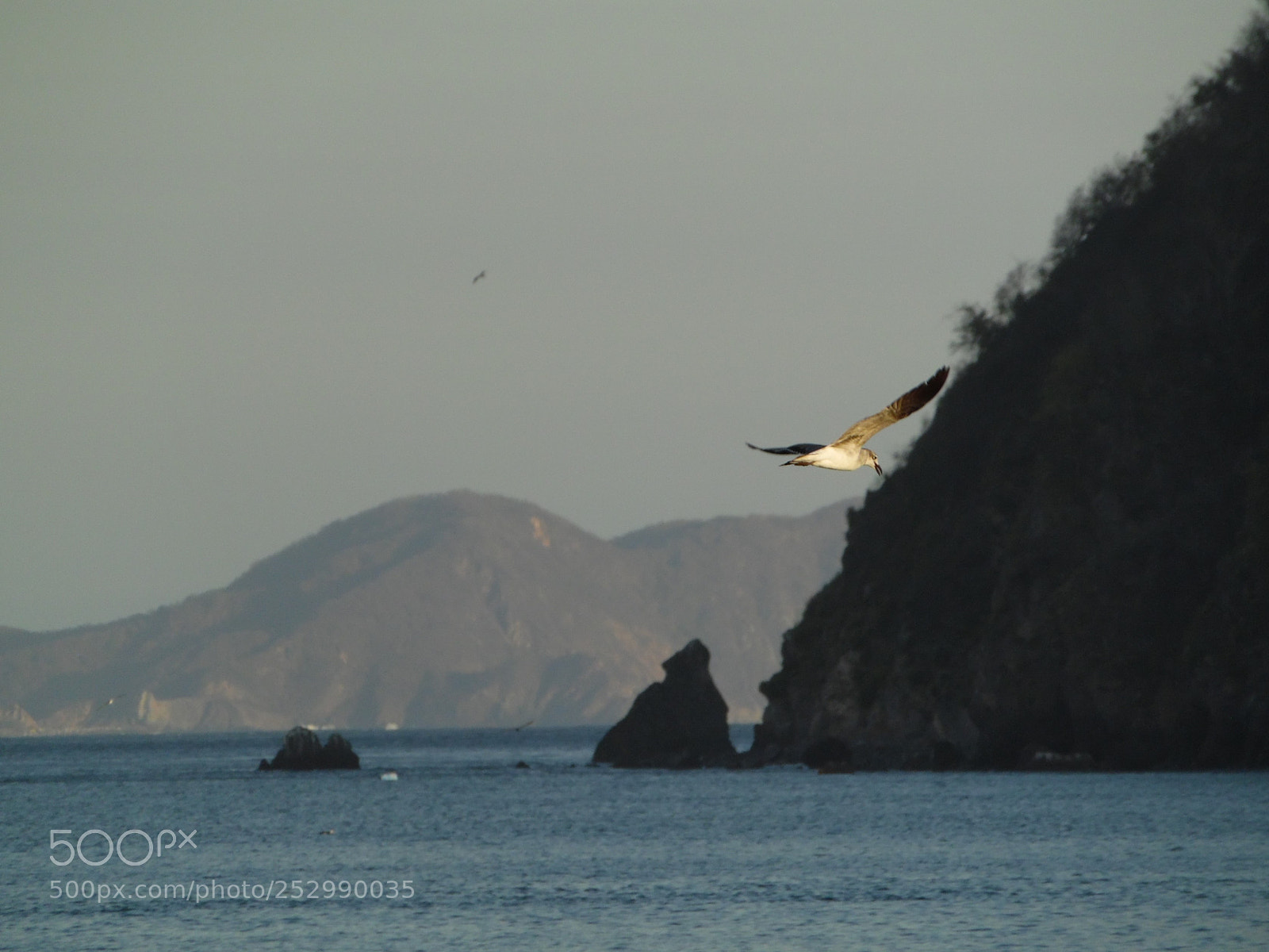 Samsung WB1100F/WB1101F/WB1102F sample photo. "las alas huyen" photography