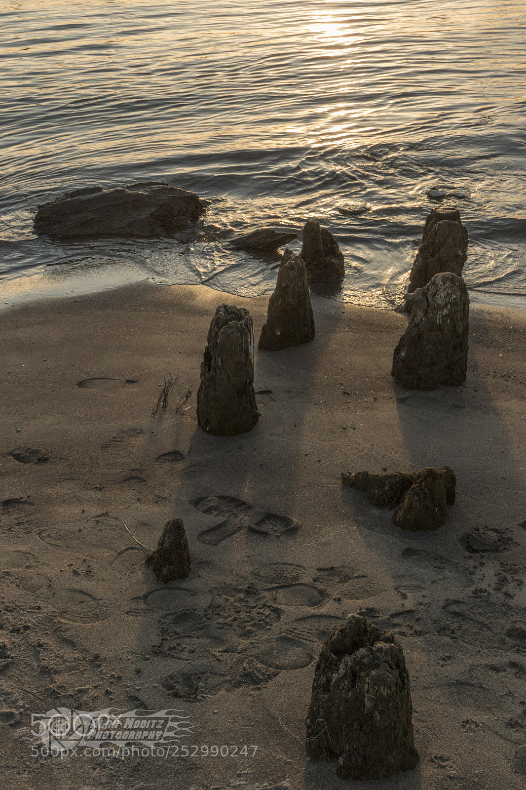 Canon EOS 7D Mark II sample photo. Decayed jetty photography