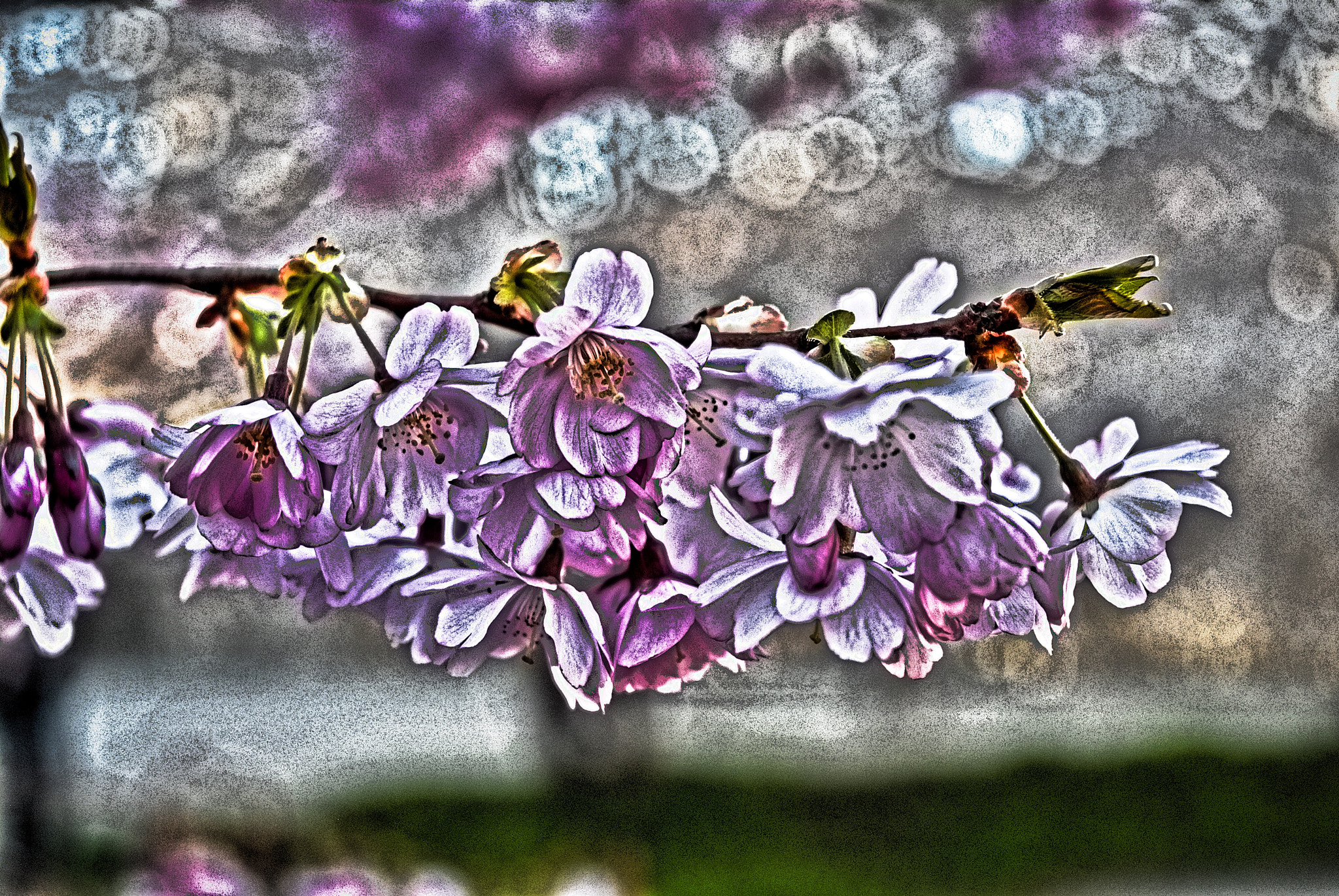 Nikon D200 sample photo. Untitled photography