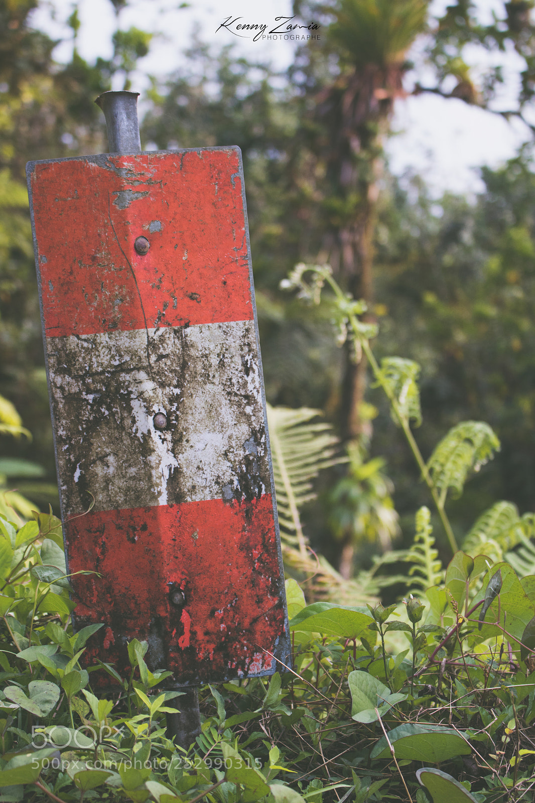 Canon EOS 750D (EOS Rebel T6i / EOS Kiss X8i) sample photo. Beyond the sign photography