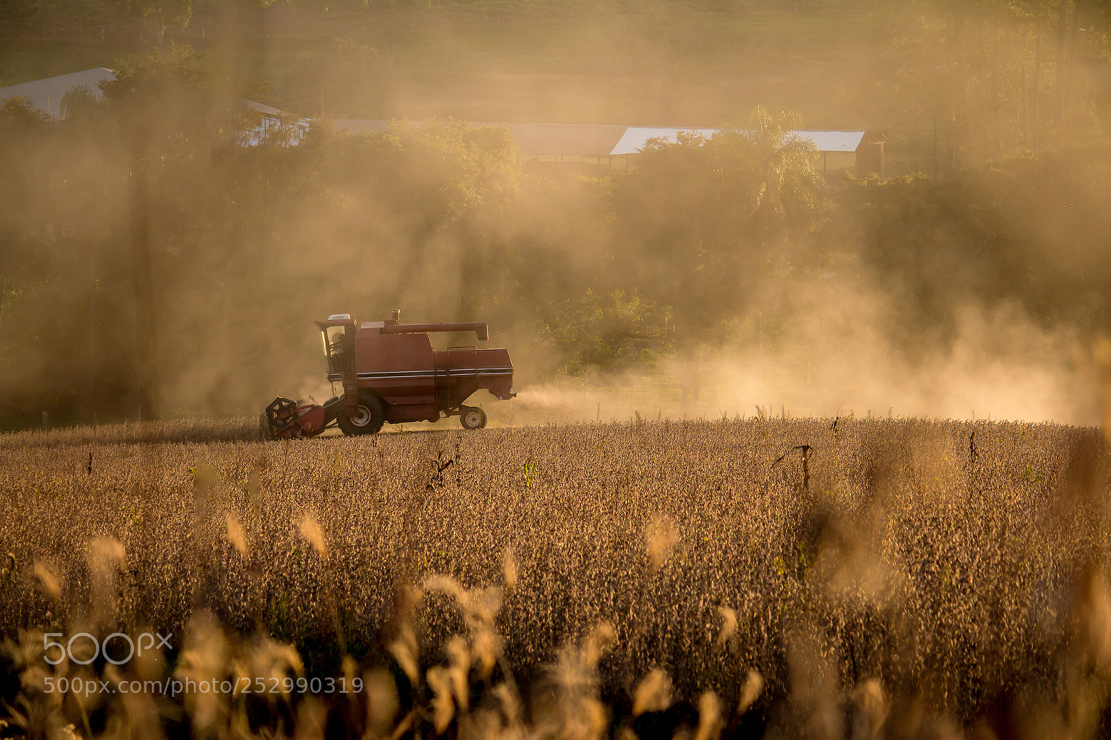 Canon EOS 70D sample photo. Soybean harvest photography