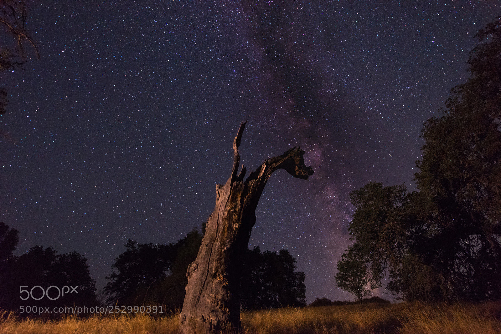 Nikon D810 sample photo. Night talk photography