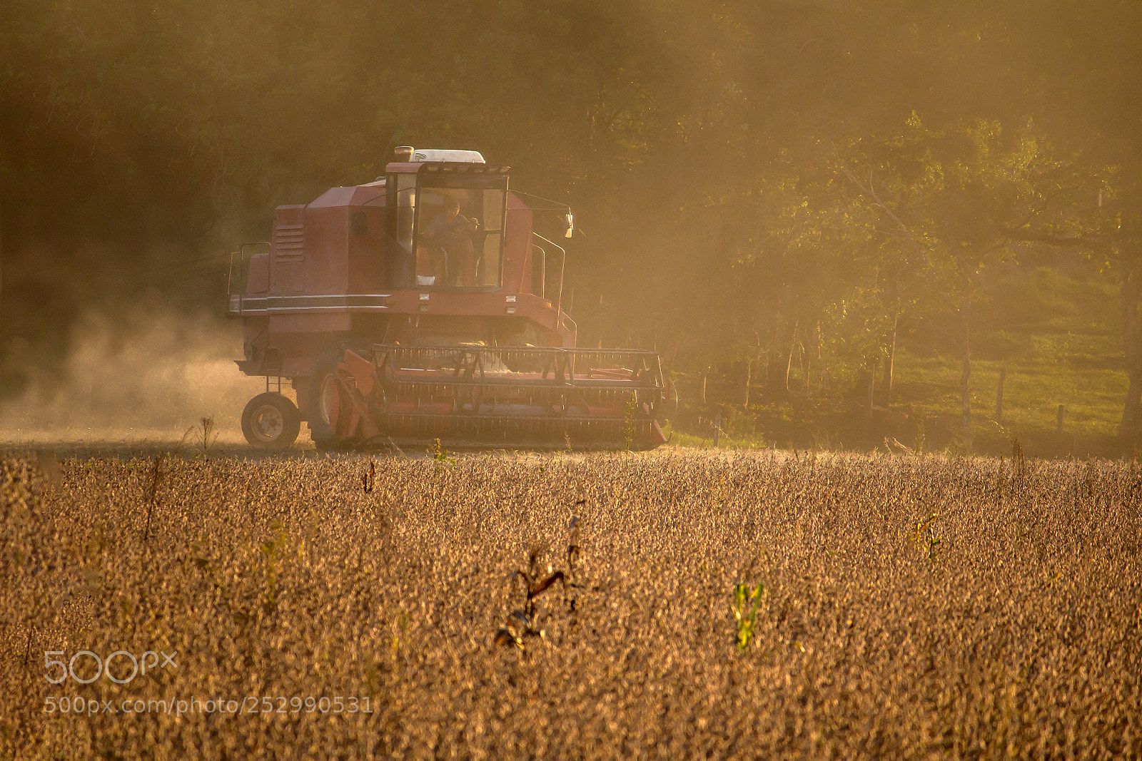 Canon EOS 70D sample photo. Soybean harvest photography
