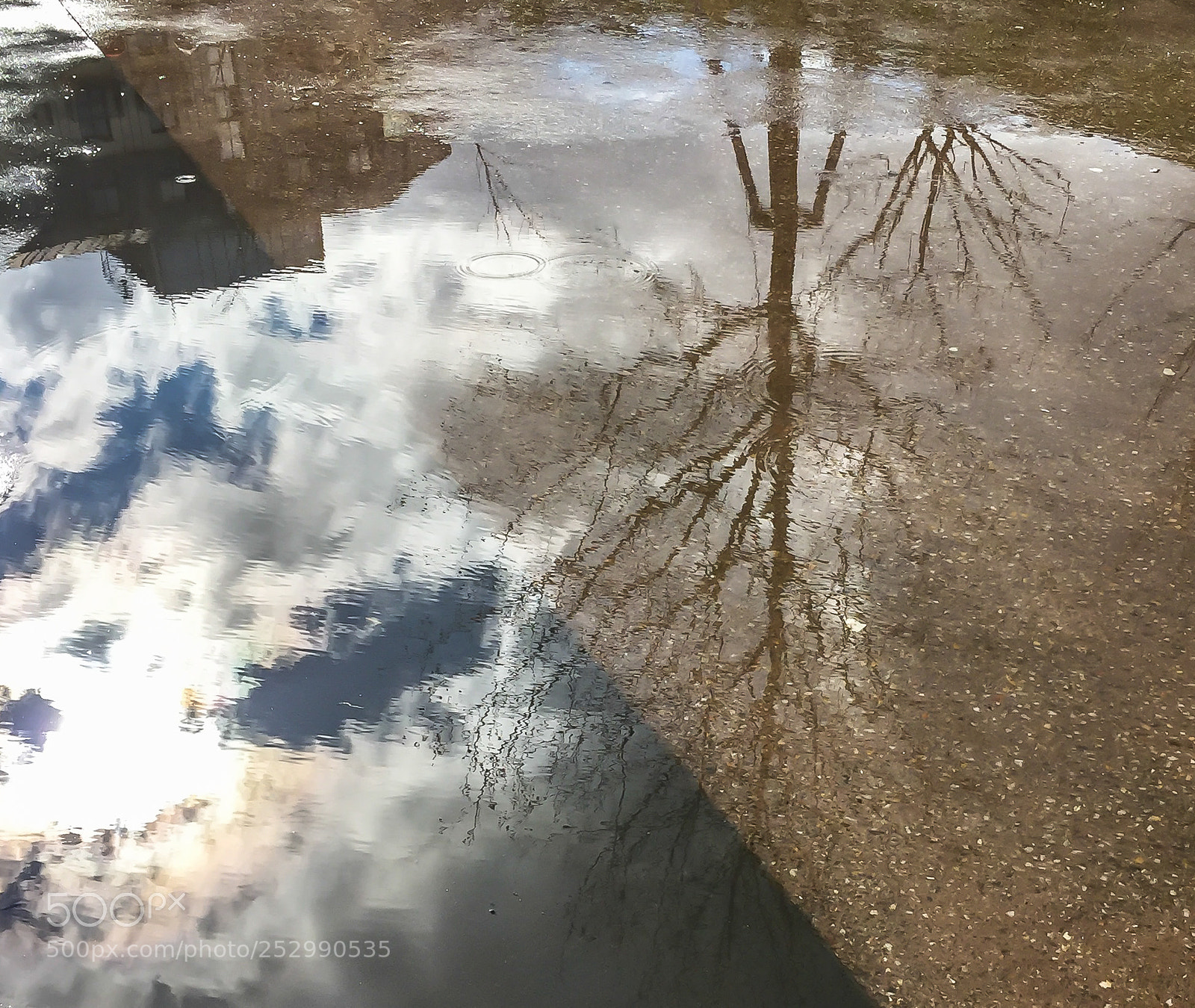 Apple iPhone 6 sample photo. Relected images as seen photography