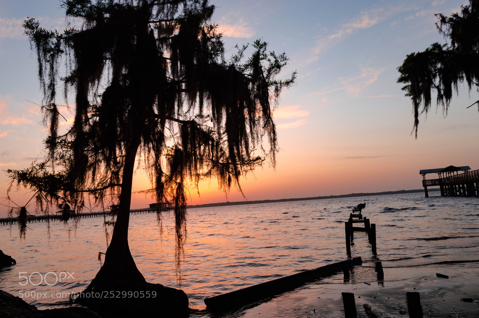 Nikon D3200 sample photo. Beauty all around us photography