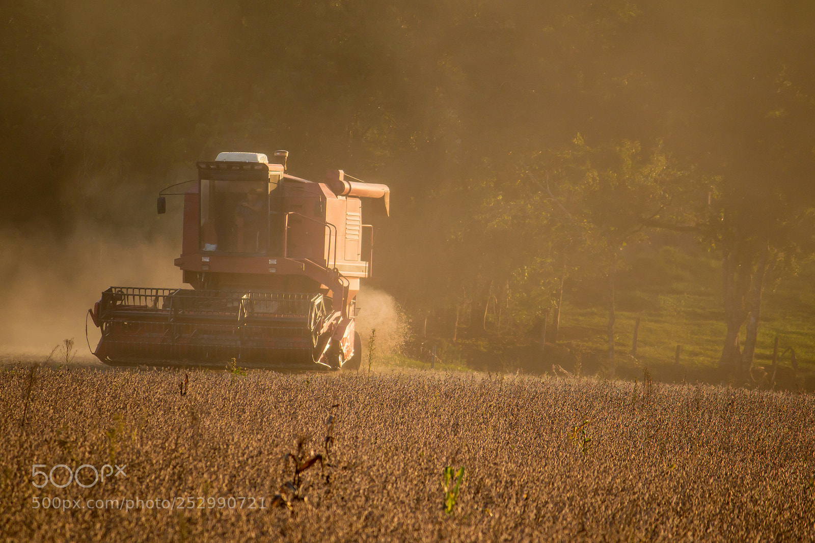 Canon EOS 70D sample photo. Soybean harvest photography