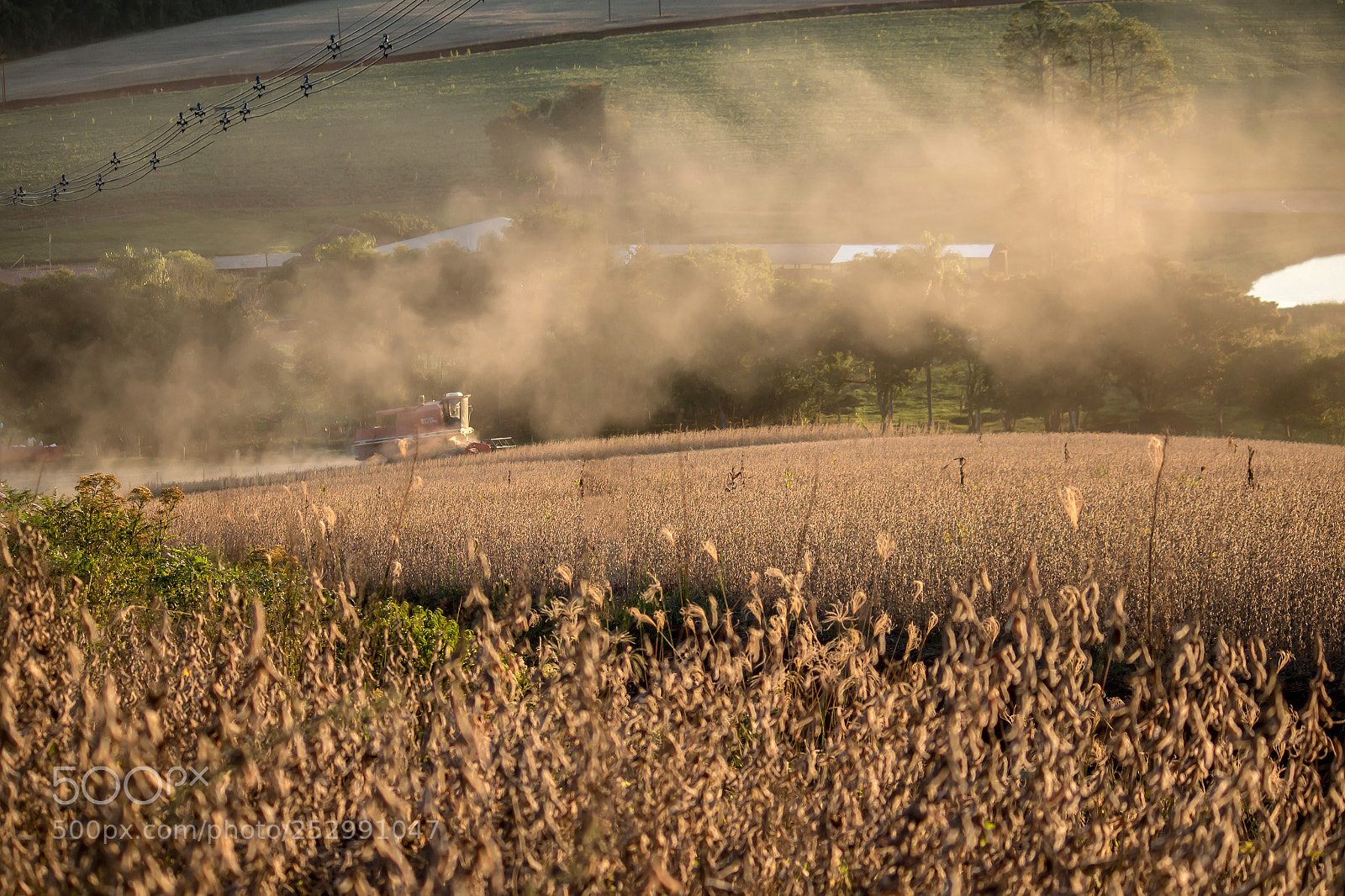 Canon EOS 70D sample photo. Soybean harvest photography