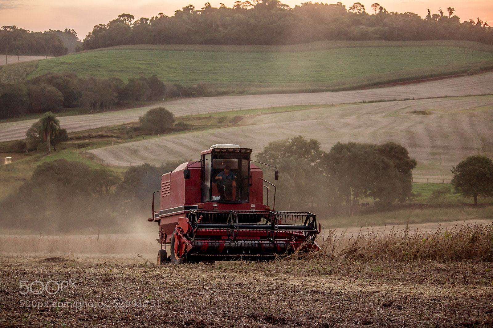 Canon EOS 70D sample photo. Soybean harvest photography