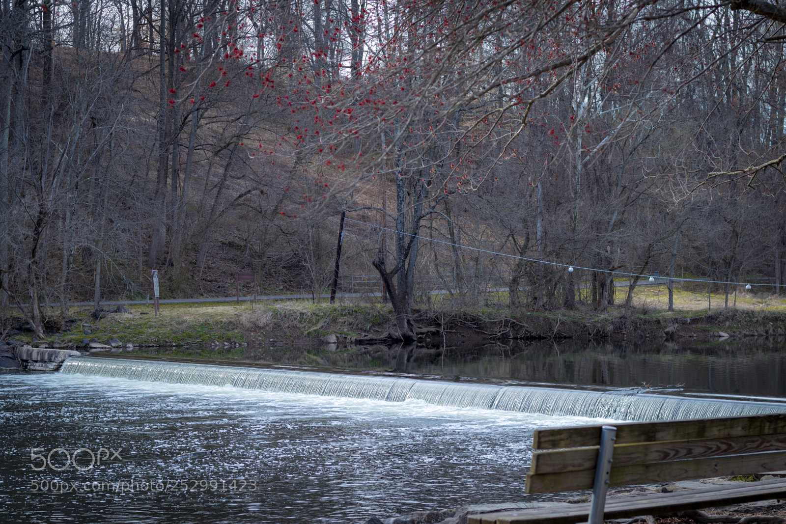 Canon EOS 80D sample photo. Park photography