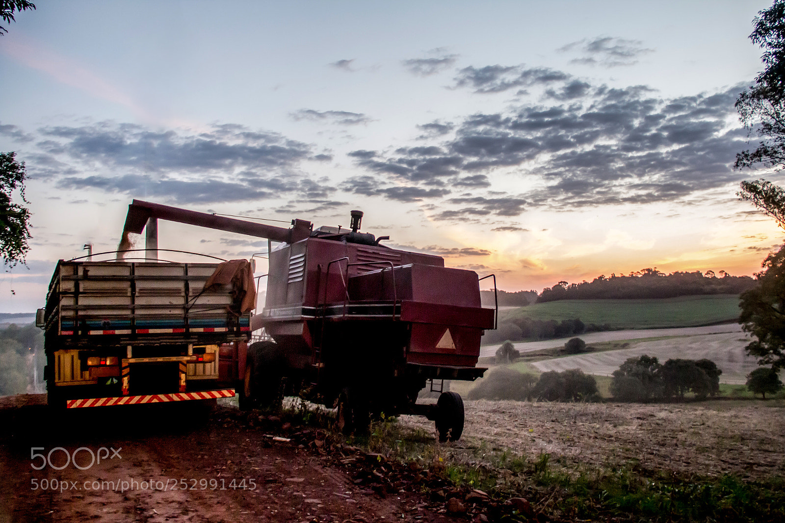 Canon EOS 70D sample photo. Soybean harvest photography