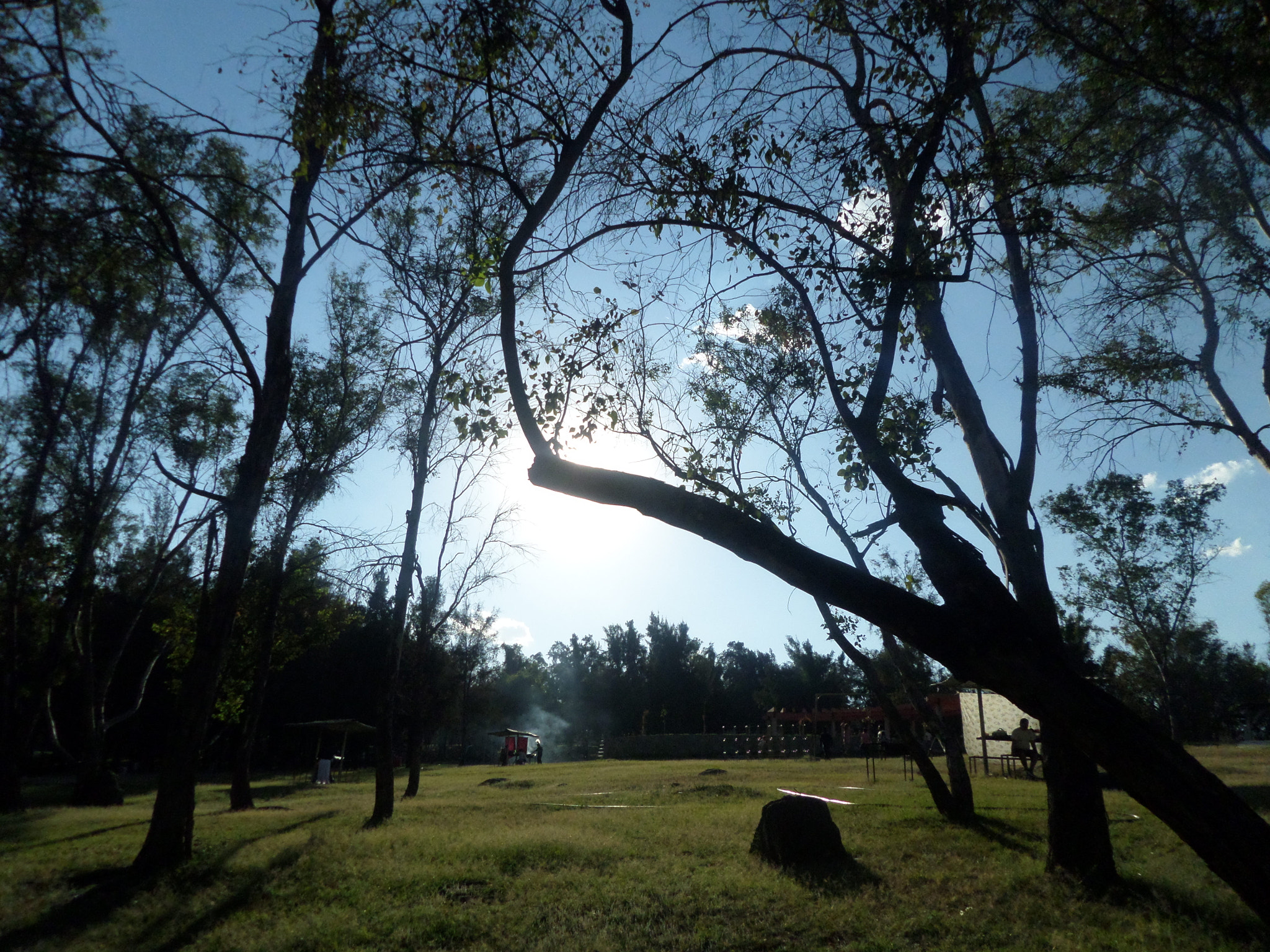 Samsung WB30F/WB31F/WB32F sample photo. ... photography