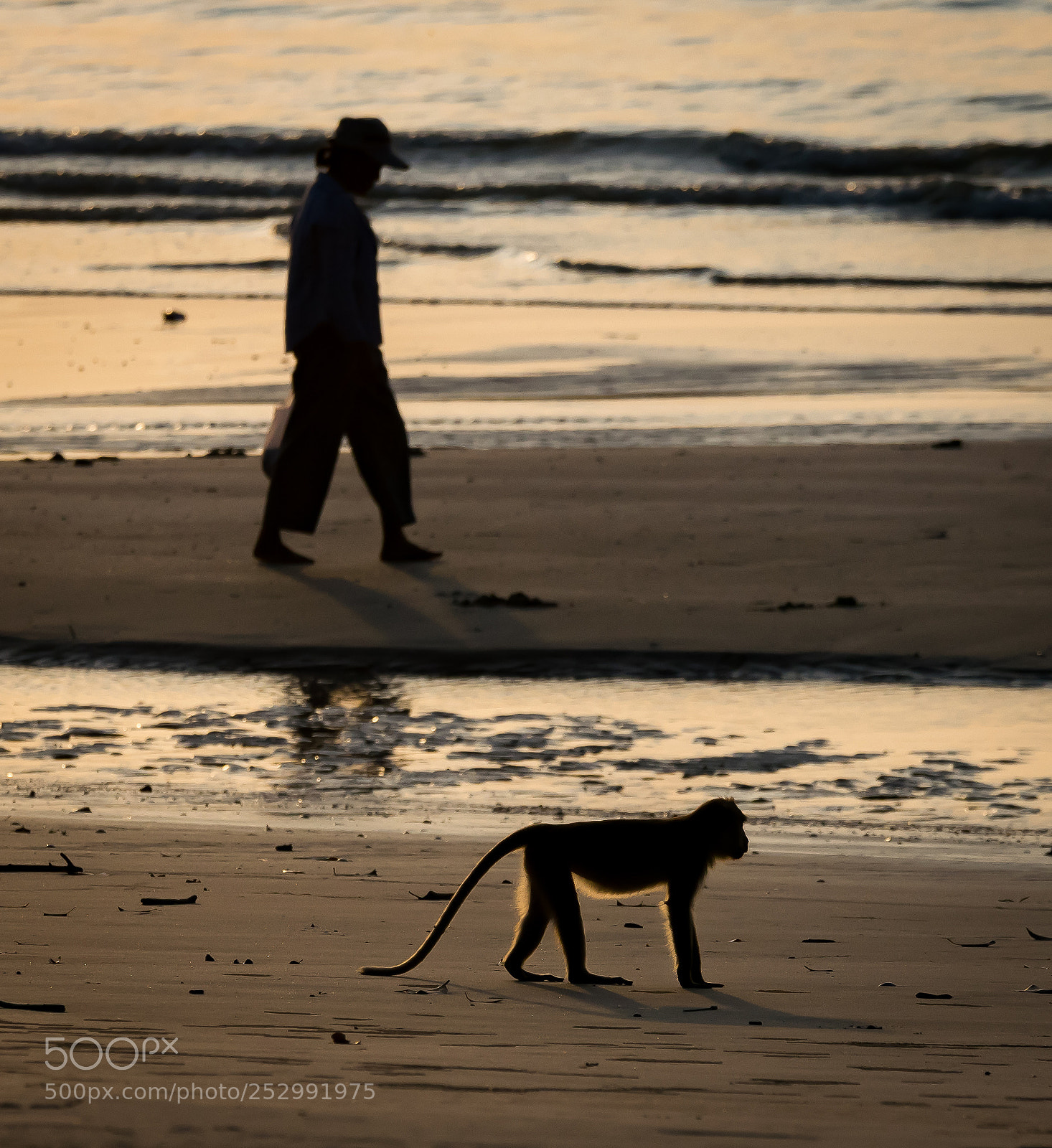 Nikon D5300 sample photo. Evolution photography