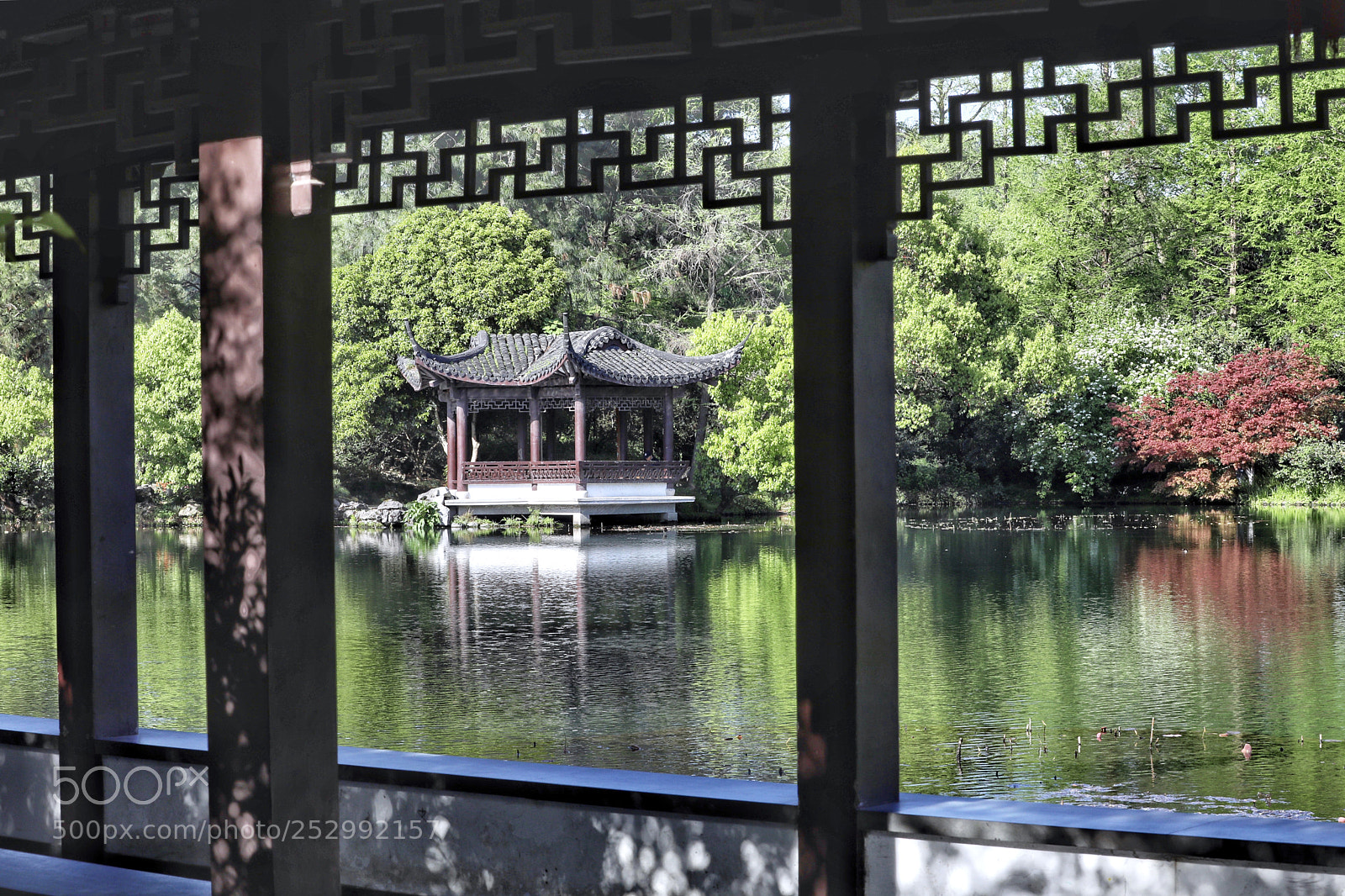 Canon EOS 5D Mark IV sample photo. 曲苑风荷景区 photography