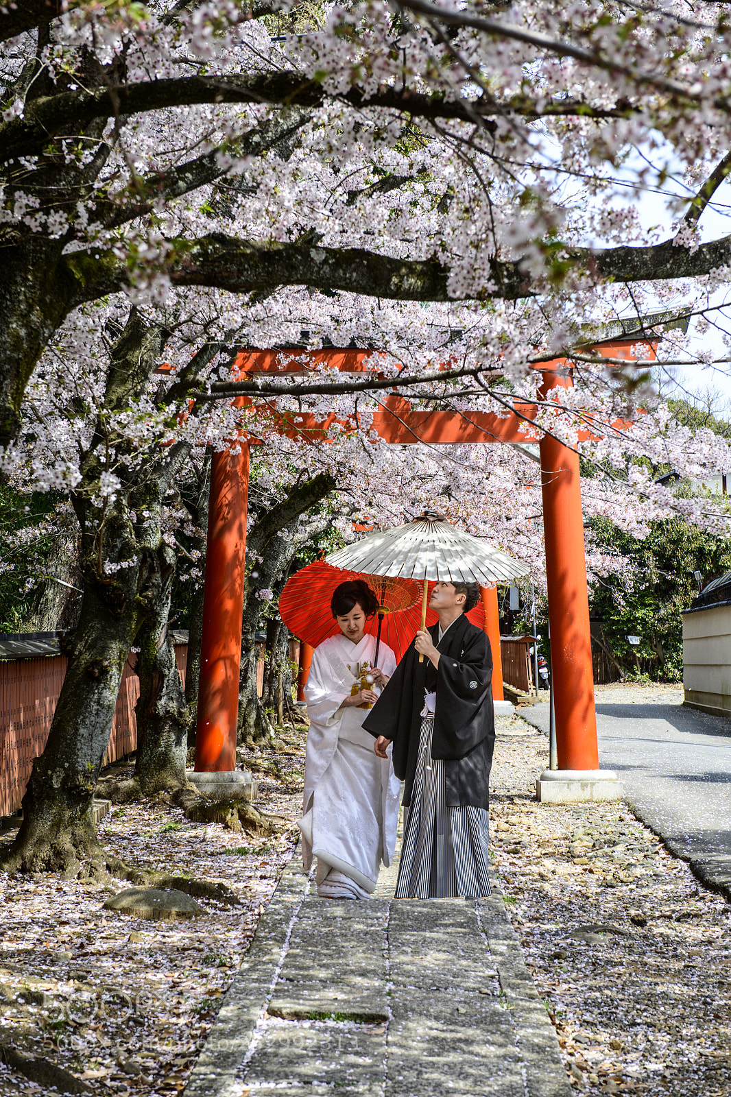 Nikon D850 sample photo. Sakura wedding photography