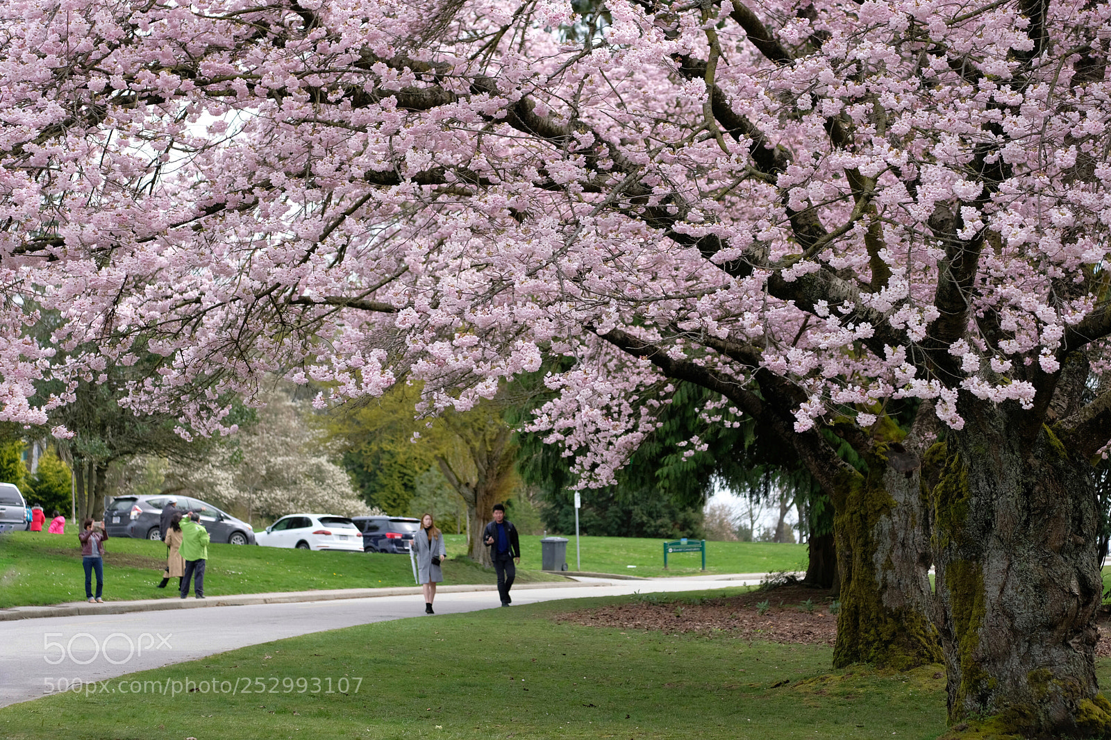 Fujifilm X-T2 sample photo. Untitled photography