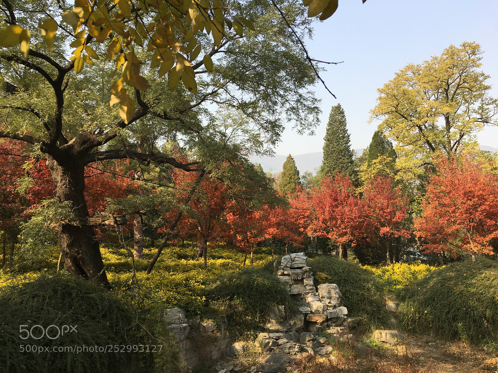 Apple iPhone 6s sample photo. Img photography