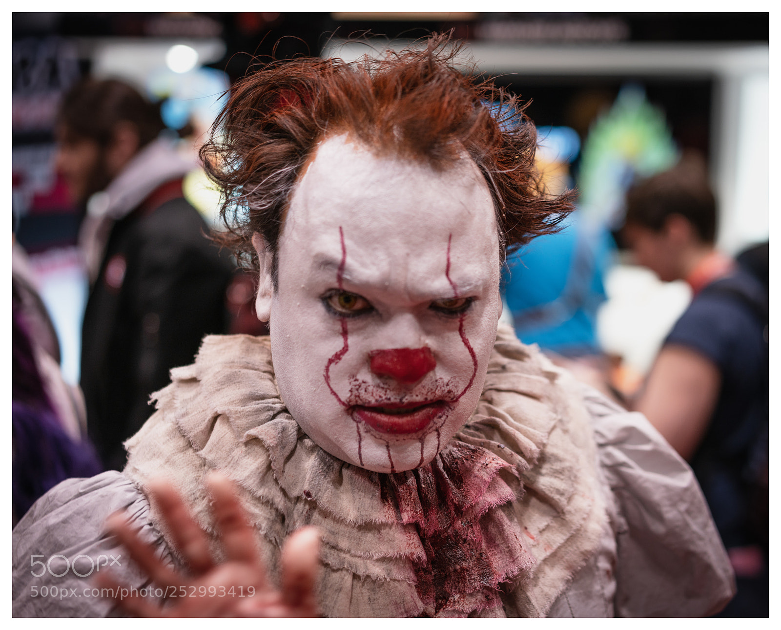 Sony a7R II sample photo. _dsc0234.jpg photography