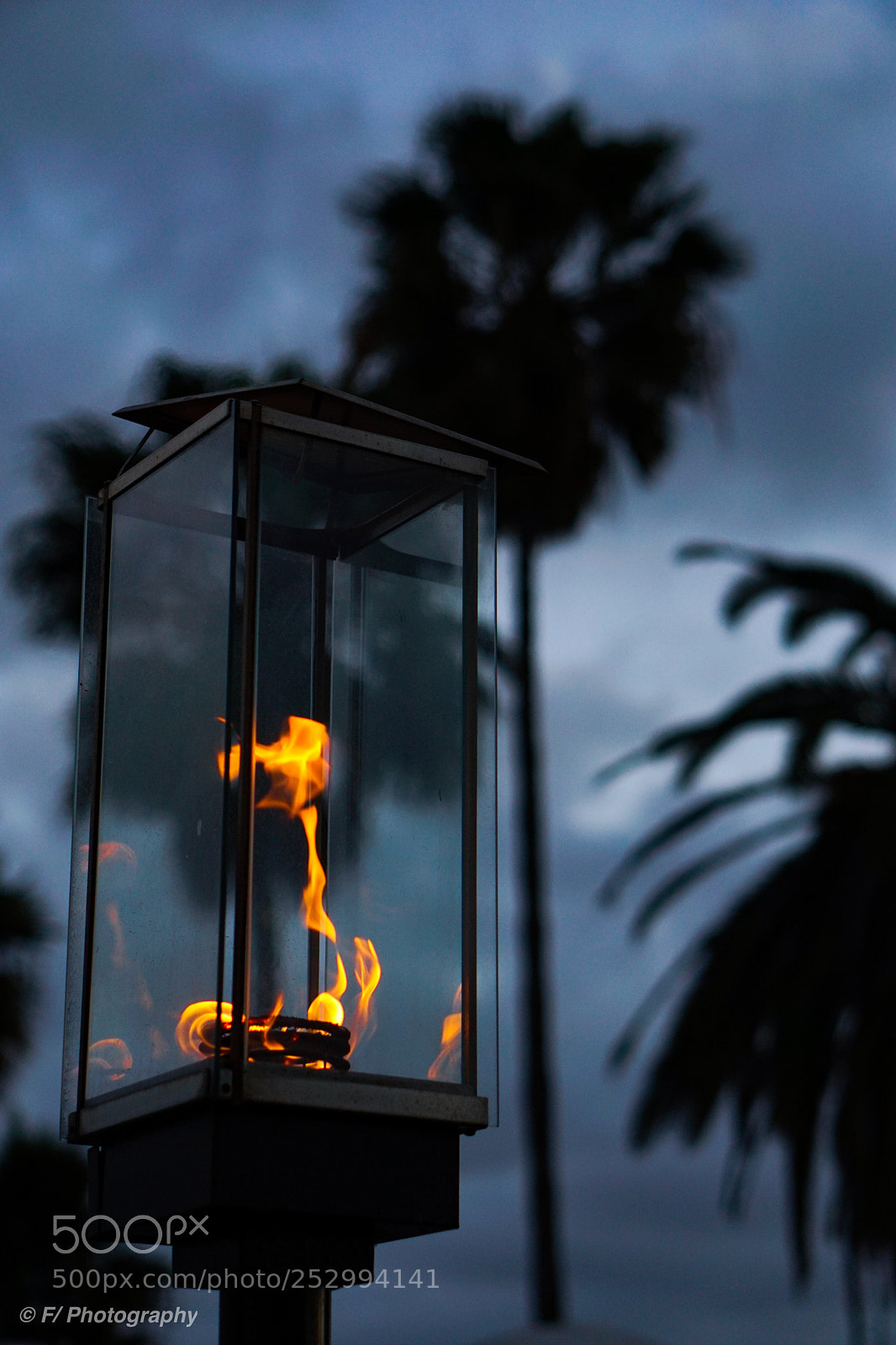 Sony a6300 sample photo. Flamin’ photography
