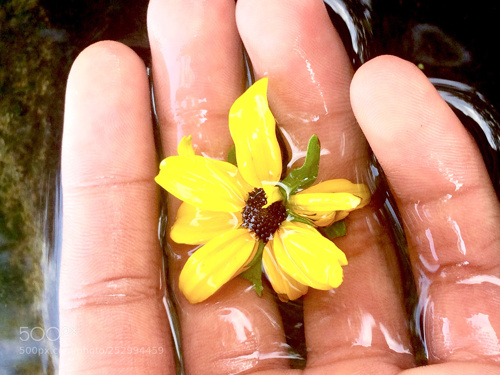Apple iPhone 5s sample photo. Untitled photography