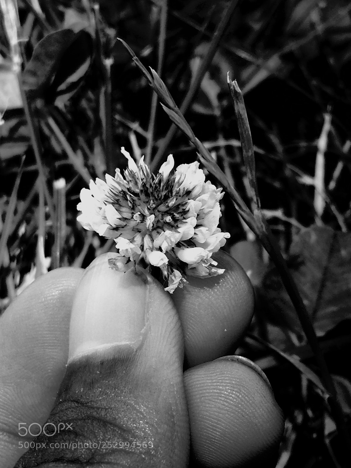 Apple iPhone 5s sample photo. Untitled photography