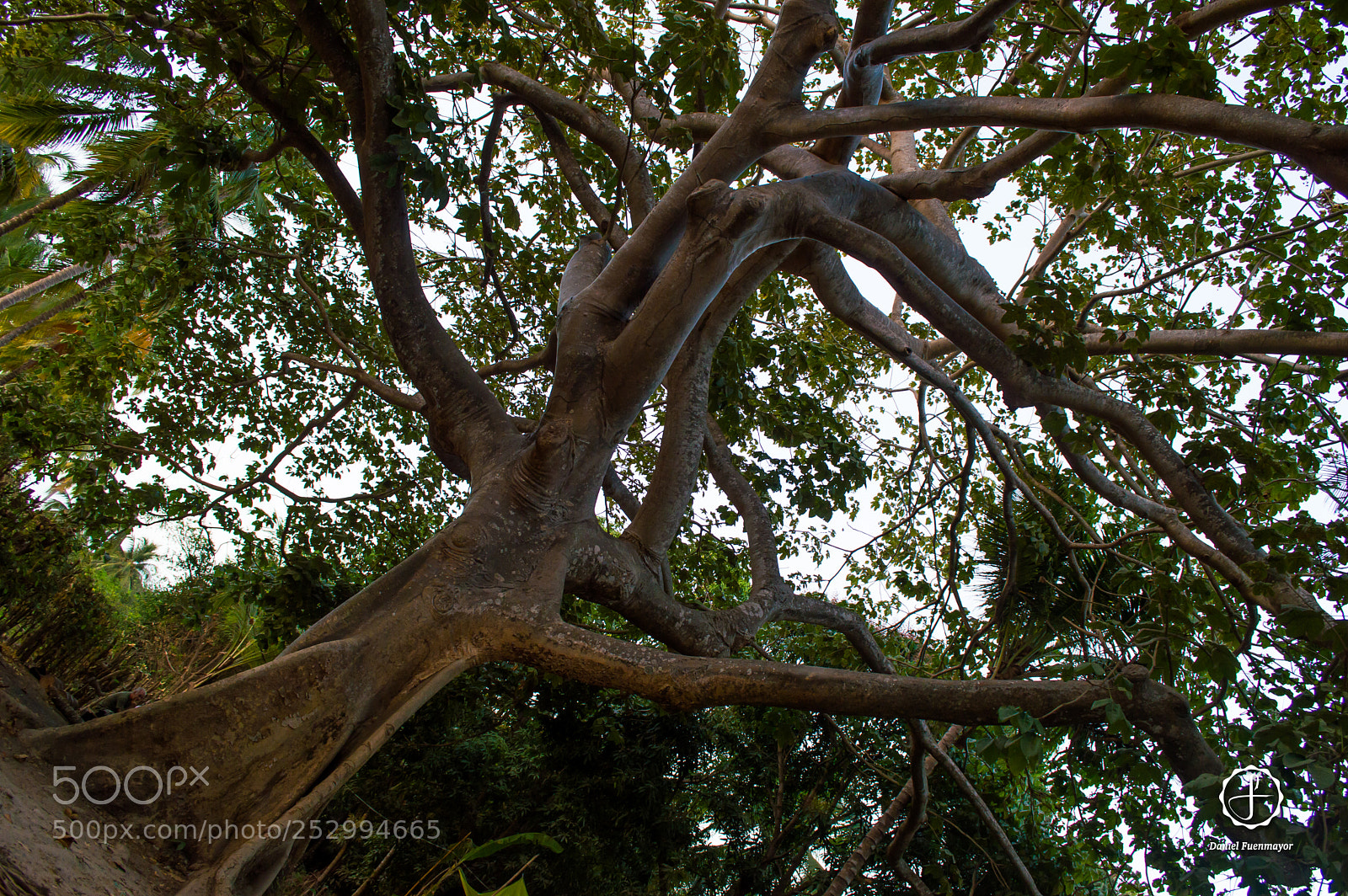 Nikon D3200 sample photo. El gran camino photography