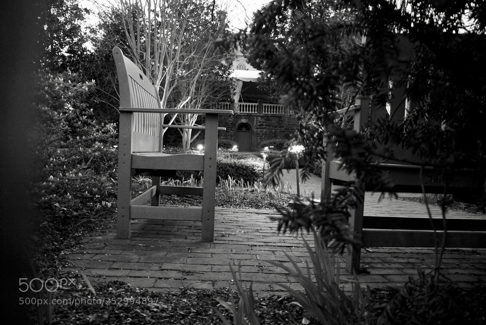 Sony Alpha NEX-5R sample photo. Untitled photography