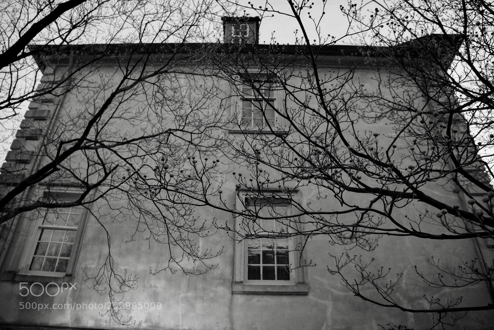 Sony Alpha NEX-5R sample photo. Fair fax home  photography