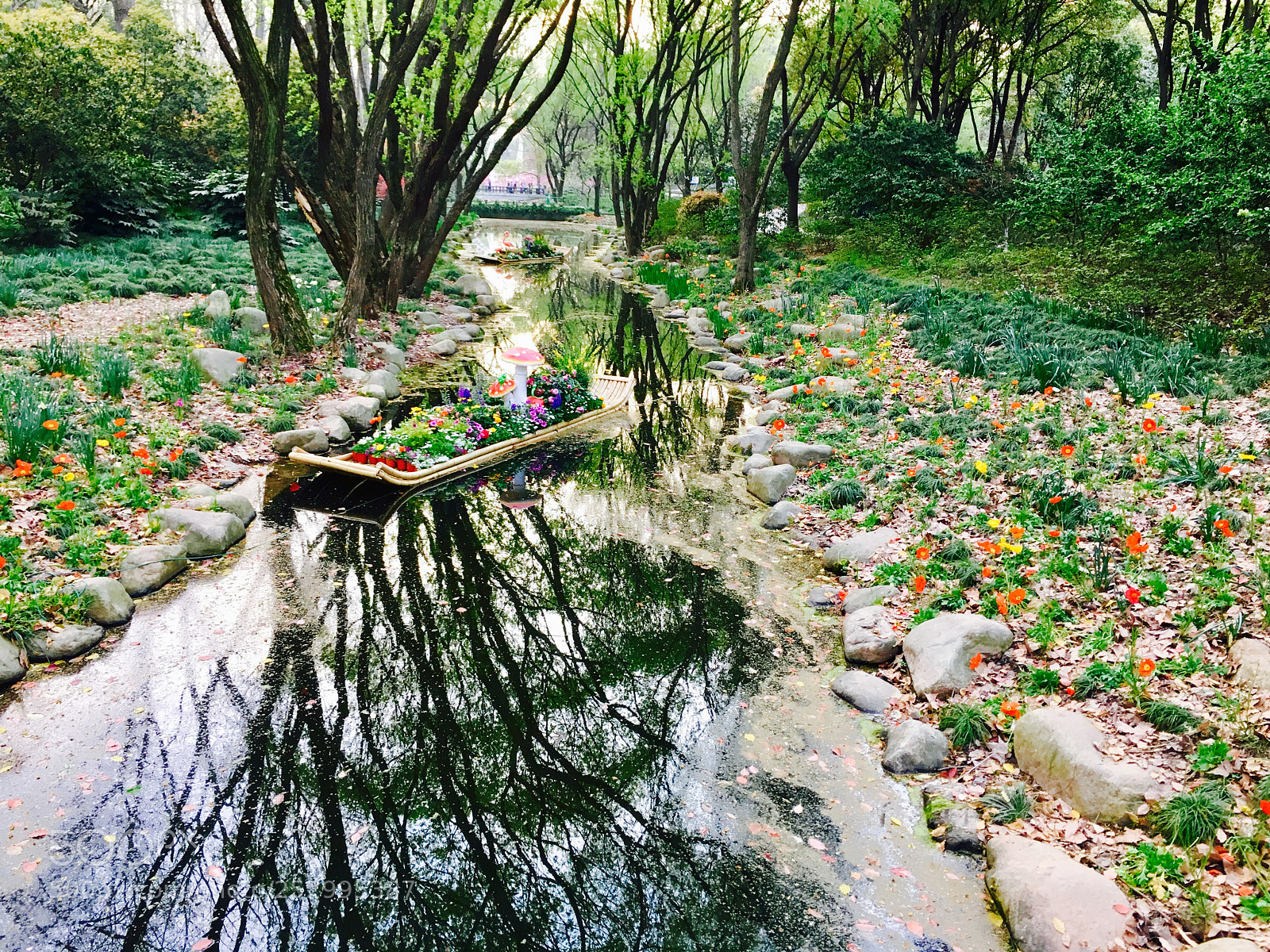 Apple iPhone 6s sample photo. Alice in wonderland photography