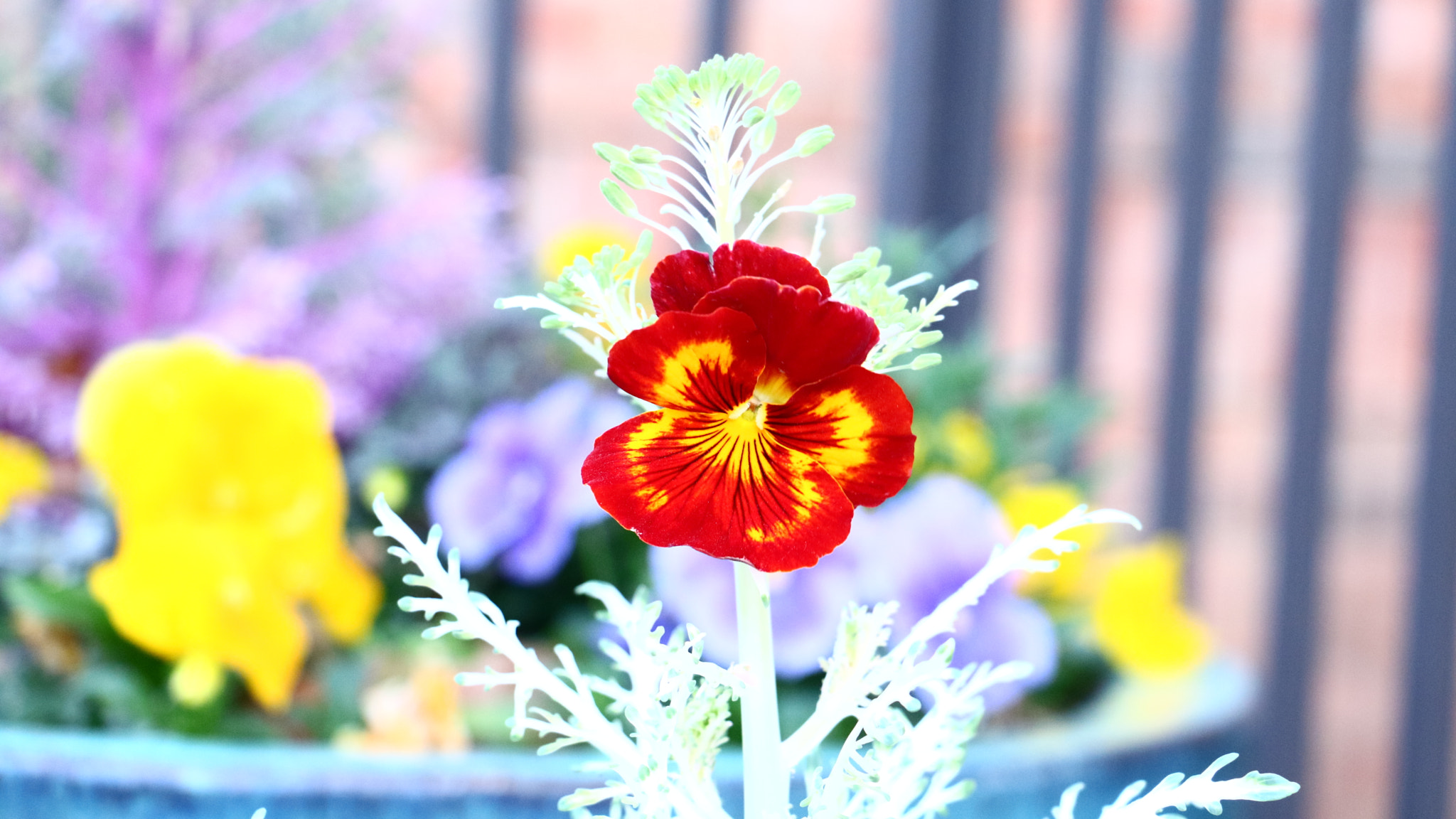 Canon EOS M3 sample photo. Early days of spring photography