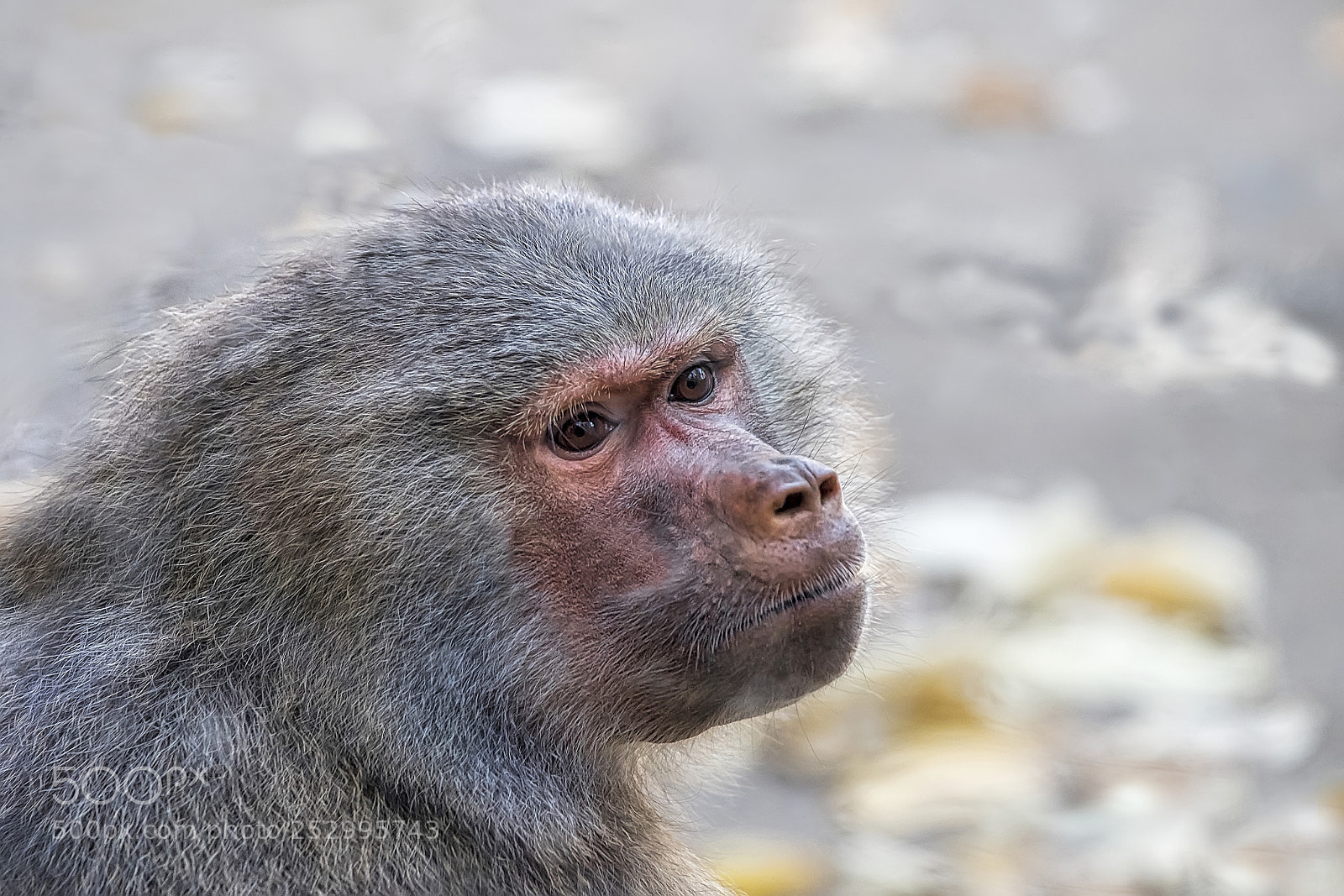 Fujifilm X-T1 sample photo. Méditatif photography