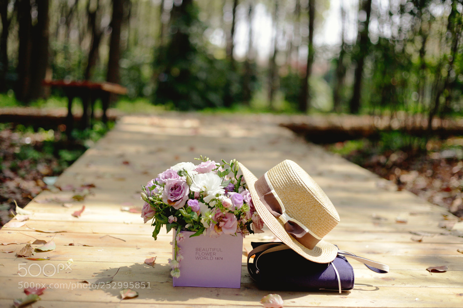 Canon EOS 5D Mark II sample photo. Just fine～ photography
