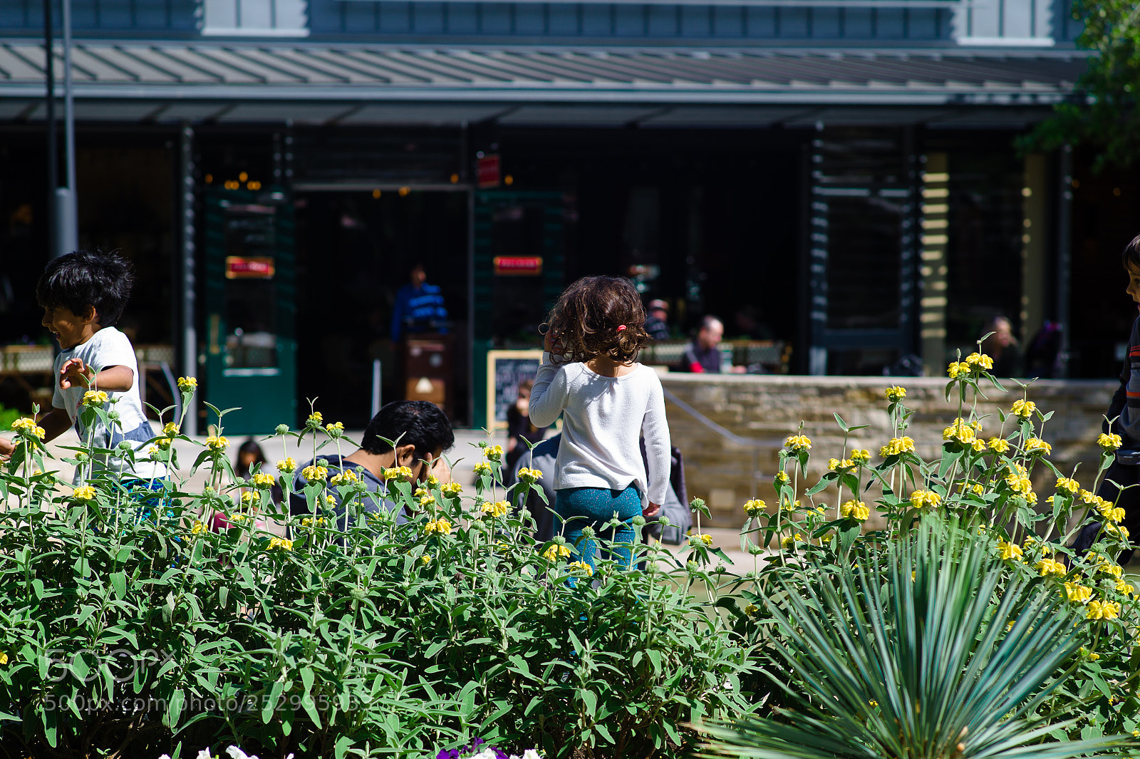 Leica M9 sample photo. Flowers photography
