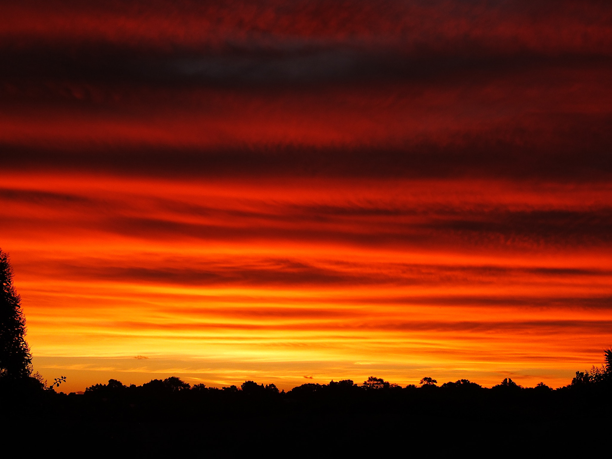 Fujifilm X-S1 sample photo. Big sunset over auckland, new zealand photography